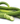 Armenian Striped Cucumber