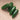 Green Jalapeno